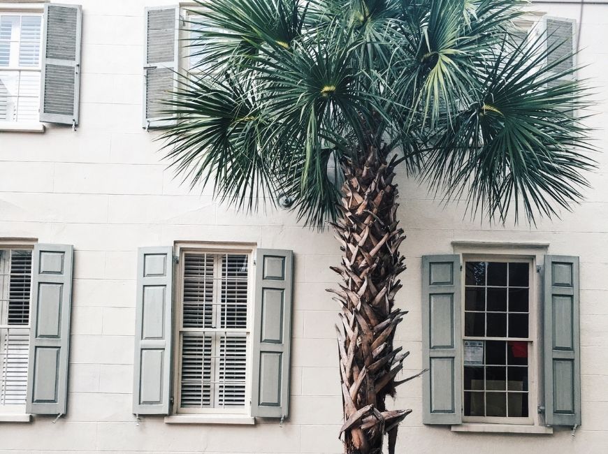 Why Shutters Are Important for Coastal Homes
